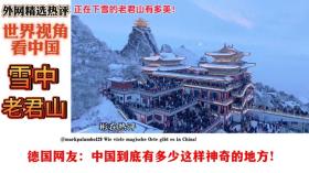 外国网友热议，老君山雪景美不胜收